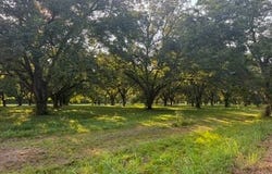 Highway 65 S, Tallulah, LA 71282