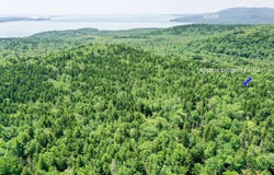 321 Atlantic Highway, Northport, ME 04849