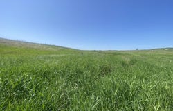 10650 386th Avenue, Frederick, SD 57441