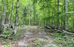 Echo Point Road, Bronston, KY 42518
