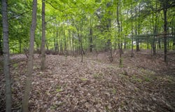 Covey Road, Beulah, MI 49617