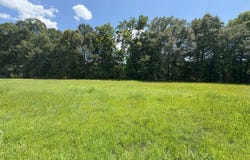 0 L D Knox Rd., Gilbert, LA 71336