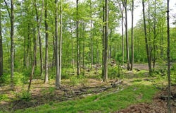 000 Old Township Road, Coudersport, PA 16915