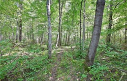 Lots 1 & 2 13 1/4 St, Rice Lake, WI 54868