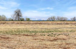 15288 Ypsilon Cir, Mead, CO 80542