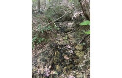 Holly Branch Run Road, Magnolia, KY 42757