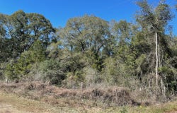 1.31 Acres N Tram Road, Ponce De Leon, FL 32455