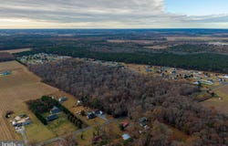 48.1 acres MORRIS MILL ROAD, MILLSBORO, DE 19966