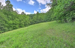 000 Goode Hollow Road, Duffield, VA 24244