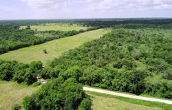 Tbd LCR 663, Kosse, TX 76653
