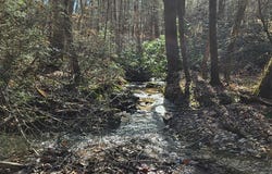 3409 Flagpole Road, Ellijay, GA 30540