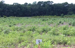 Lot 1 Whaley Road, Kinston, NC 28501