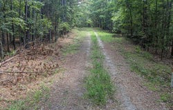 Tbd Burton Drive, Edgefield, SC 29824
