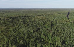 240 acres Cooper Road, Gulliver, MI 49840