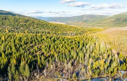 Nhn McGinnis Meadows - Bayhorse Road Section 5, Libby, MT 59923