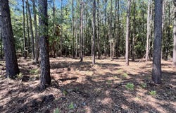 Elm Street lot: 2, Belhaven, NC 27810