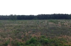 0 Hammond Rd, Jayess, MS 39654