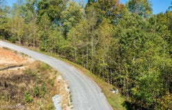 Alum Drive Drive, New Tazewell, TN 37825