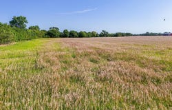 0000 S 263rd St W, Viola, KS 67149