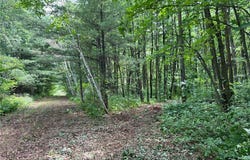 000 Cross Lake Rd, Chengwatana Twp, MN 55063