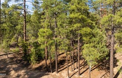 4460 W Hawthorn Road, Show Low, AZ 85901
