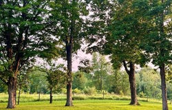 194 River Road, Walden, NY 12586