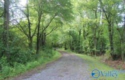 338 County Road 657, Rainsville, AL 35986