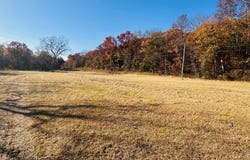2614 & 2638 Madison 6330, Wesley, AR 72773