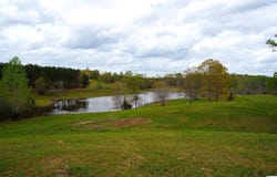 38 acres COUNTY ROAD 120, ROCKFORD, AL 35136