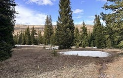 1996 S 1550 E,1532 E 2000 S, Brian Head, UT 84719