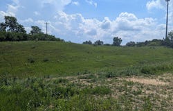 Vicary Road lot: 1, Cement City, MI 49233