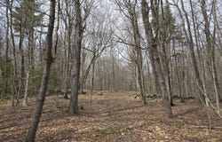 Magee Road, Stamford, VT 05352