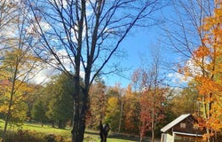 215 Fish Mountain Road, Lake Pleasant, NY 12108