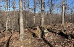 1003 Hidden Valley Lakes, Annapolis, MO 63620