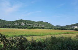 0000 Jellon, Mountain View, AR 72560