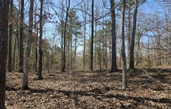 010 Tomahawk Slab Road, Saint Joe, AR 72675