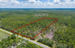 0 Old State HWY 259, Waynesville, GA 31566