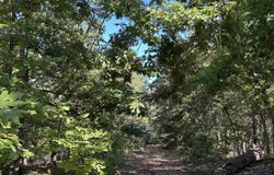 1609 Old Strawberry Lane, Horseshoe Bend, AR 72512