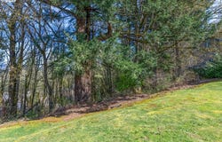 3702 NW NORWOOD ST, Camas, WA 98607