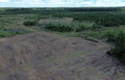 Bethel Forest Road, Tract 2, Orangeburg, SC 29133