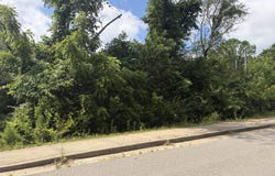 Ward Street, Birch Tree, MO 65438
