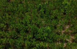 CR 235, NEWBERRY, FL 32669