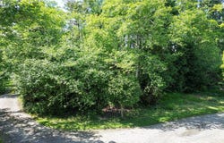 Y LN, Ocean Park, WA 98640