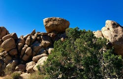 6220 Mirlo Ct, Yucca Valley, CA 92284