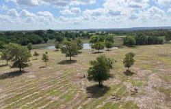 Tbd Watterson Rd, Red Rock, TX 78662
