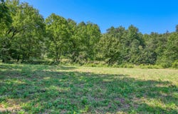 Belcher Loop, Tellico Plains, TN 37385