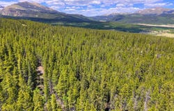 2221 KOOTCHIE KOOTCHIE ROAD, Alma, CO 80420