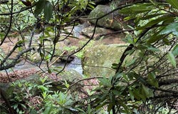 Tbd WaterFall Road, Millers Creek, NC 28651
