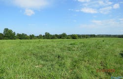 101 Acres Brown Road, Boaz, AL 35957