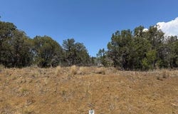 39 Salt Brush Street, Durango, CO 81301